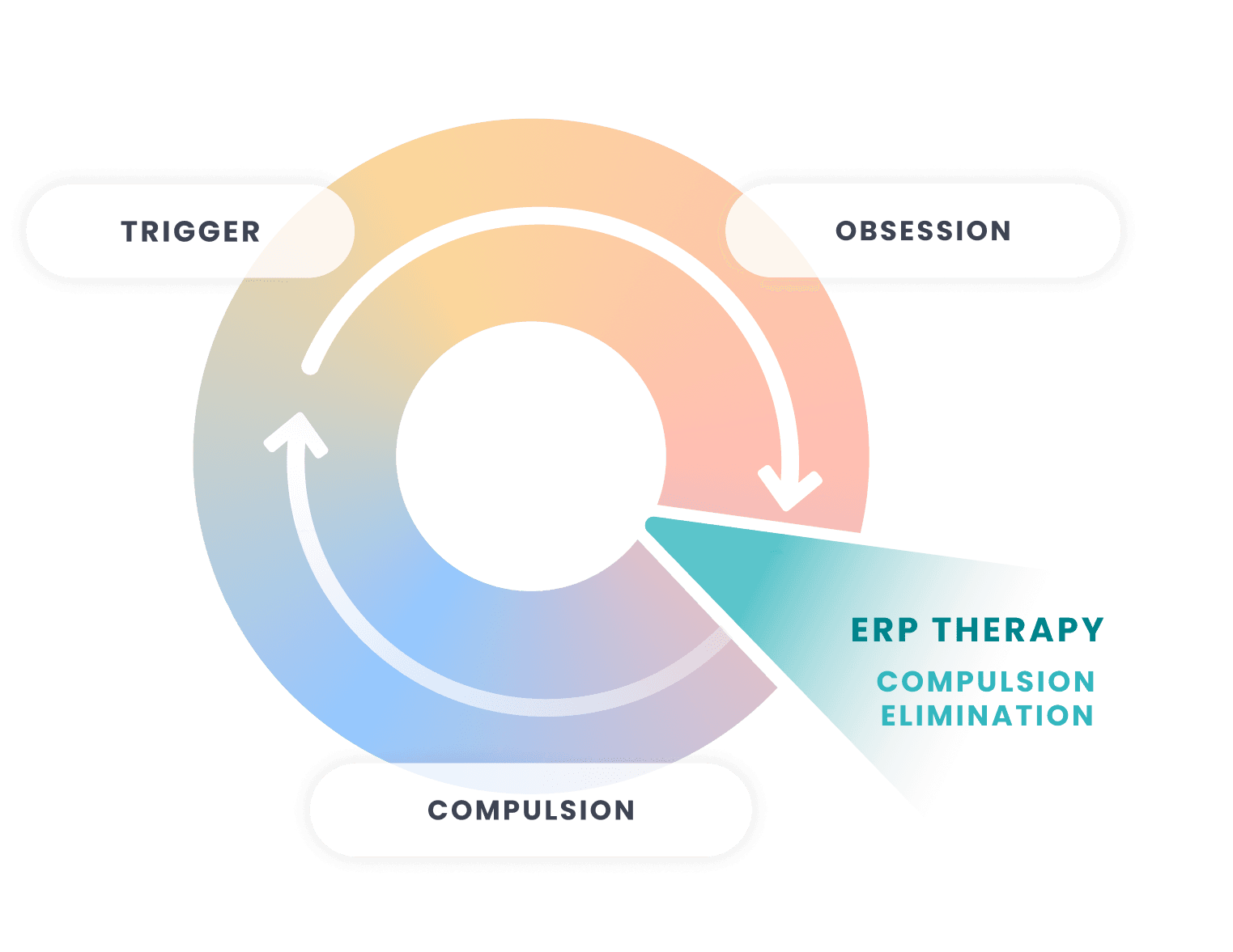 Illustration of how ERP therapy stops the cycle of triggers, obsessions, and compulsions.